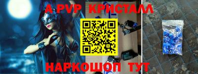 СК Кингисепп