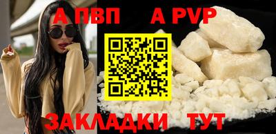 СК Кингисепп