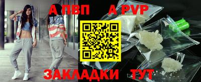 СК Кингисепп