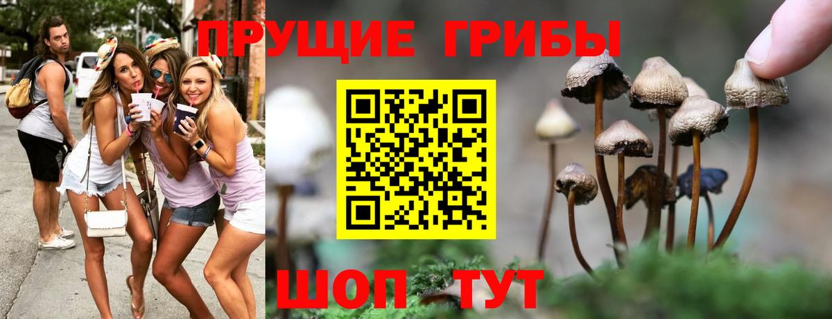 Галлюциногенные грибы прущие грибы Янаул