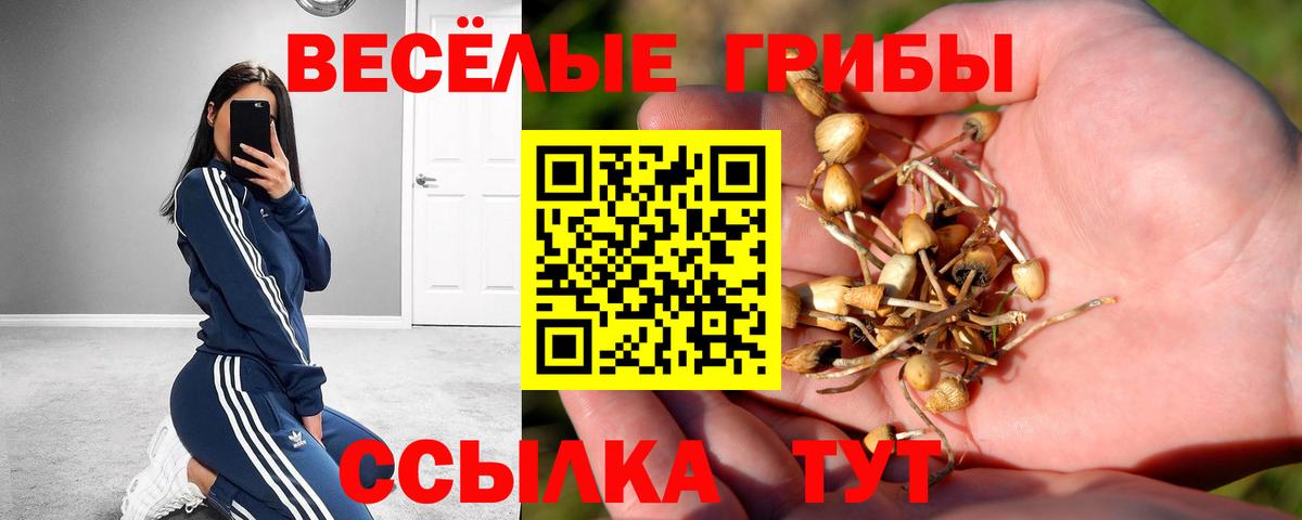 Галлюциногенные грибы GOLDEN TEACHER  что такое наркотик  Янаул  Вход с VPN  Псилоцибиновые грибы мицелий 
